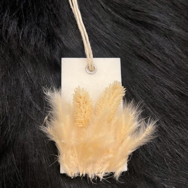 428588081_944685926982846_6812432897279866466_n